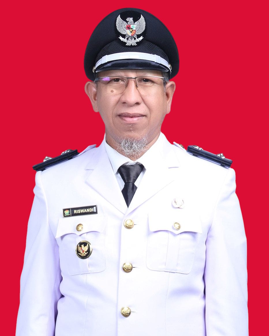 Desa Tebat Agung profile figure